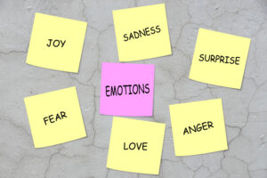 emotions meditation